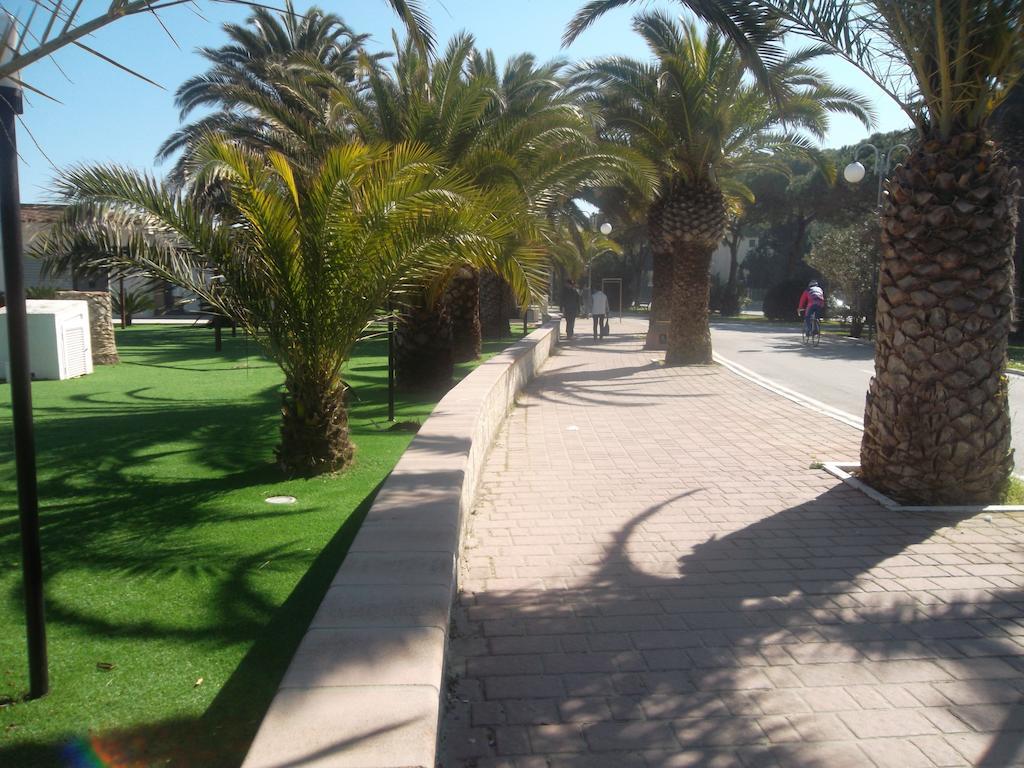 Tortoreto Hotel Quattropalme מראה חיצוני תמונה